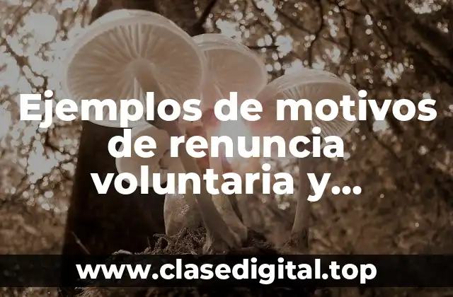 Ejemplos de motivos de renuncia voluntaria y Significado