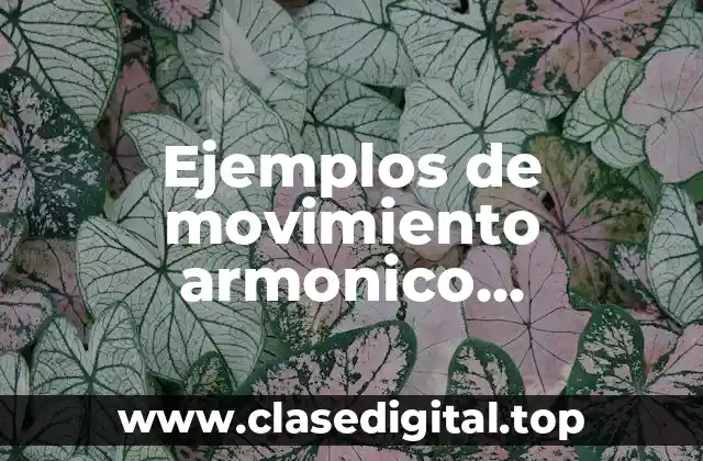 Ejemplos de movimiento armonico amortiguado