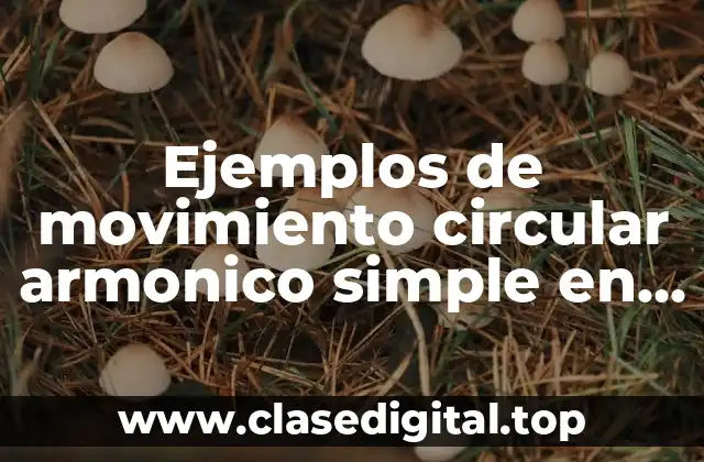 Ejemplos de movimiento circular armonico simple en la vida cotidiana