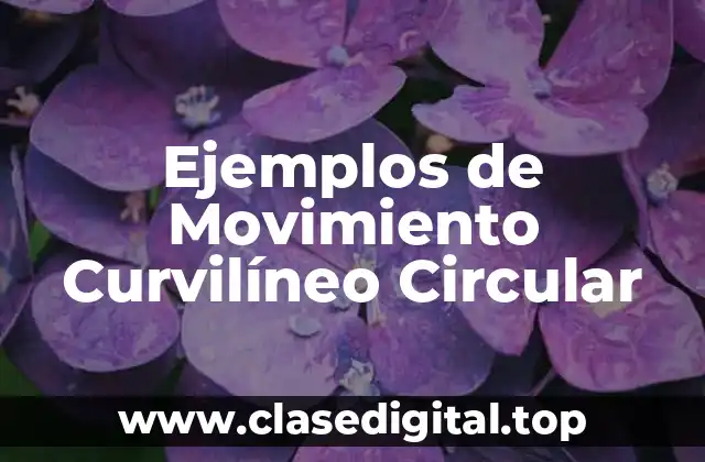 Ejemplos de Movimiento Curvilíneo Circular