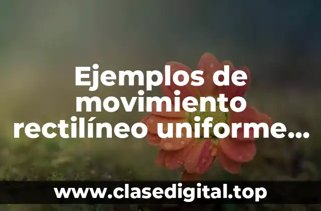 Ejemplos de movimiento rectilíneo uniforme acelerado en la vida real y Significado
