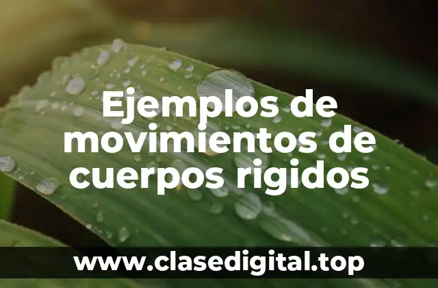 Ejemplos de movimientos de cuerpos rigidos