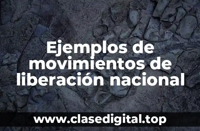 Ejemplos de movimientos de liberación nacional
