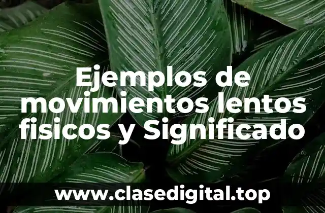 Ejemplos de movimientos lentos fisicos y Significado