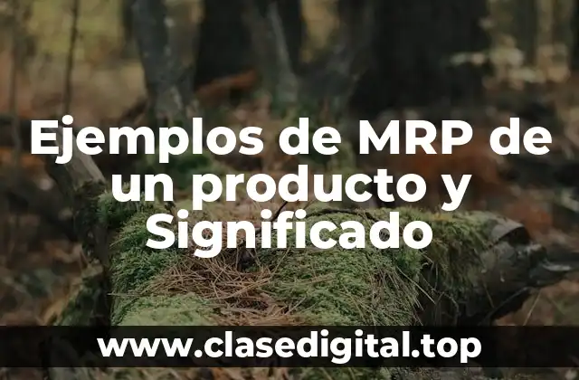 Ejemplos de MRP de un producto y Significado