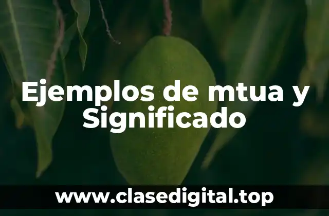 Ejemplos de mtua y Significado