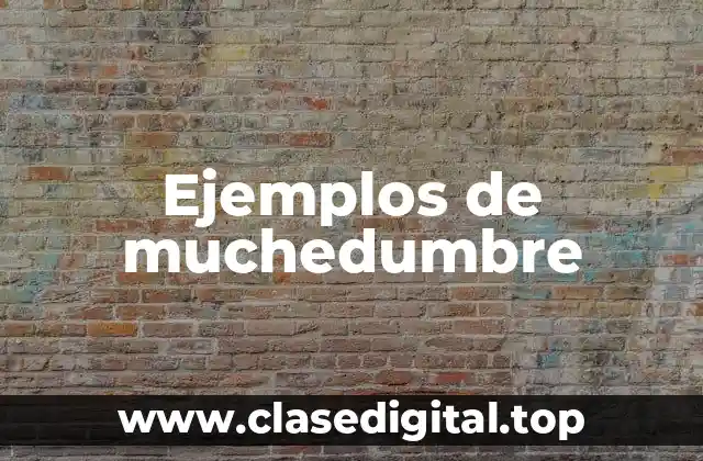 Ejemplos de muchedumbre