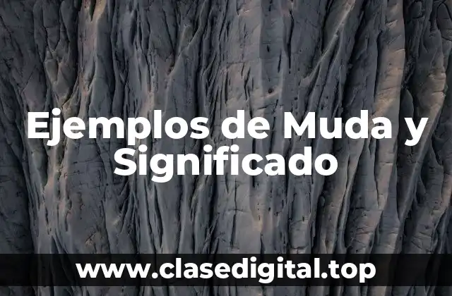 Ejemplos de Muda y Significado
