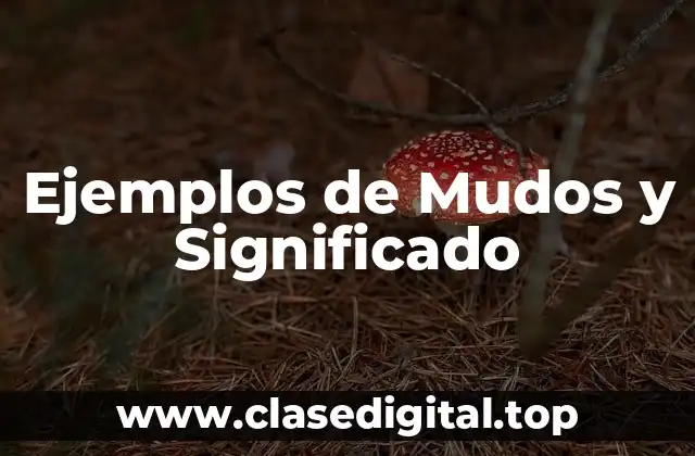 Ejemplos de Mudos y Significado