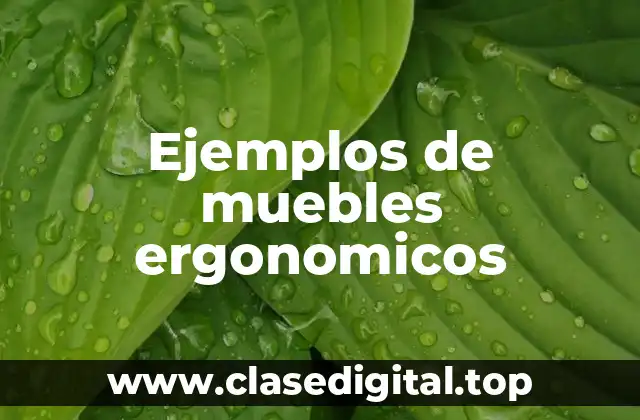 Ejemplos de muebles ergonomicos