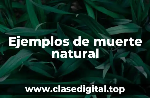 Ejemplos de muerte natural