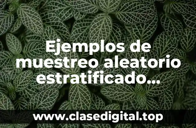Ejemplos de muestreo aleatorio estratificado resueltos