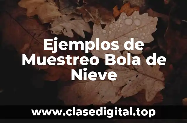 Ejemplos de Muestreo Bola de Nieve