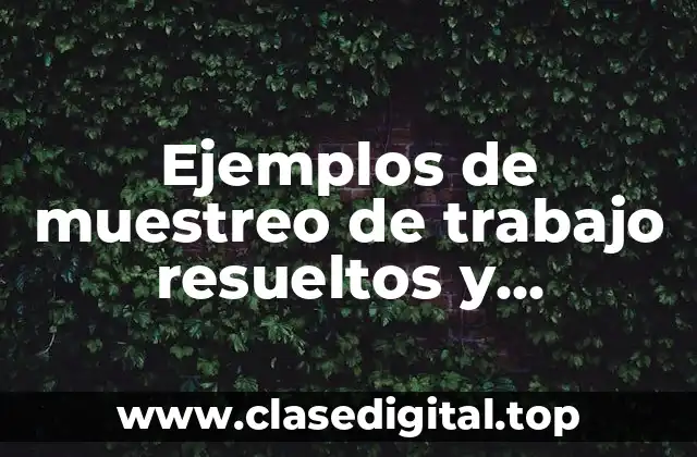 Ejemplos de muestreo de trabajo resueltos y Significado