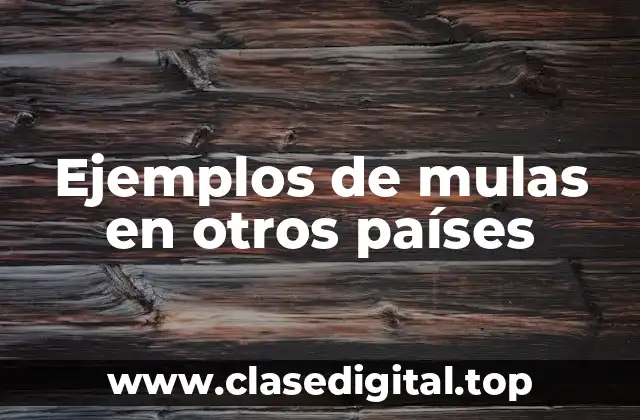 Ejemplos de mulas en otros países