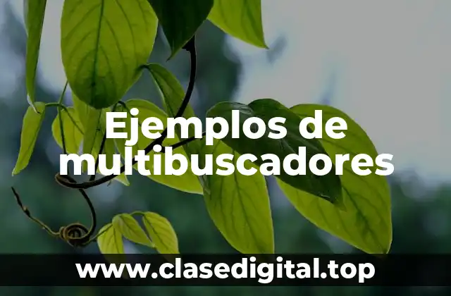 Ejemplos de multibuscadores