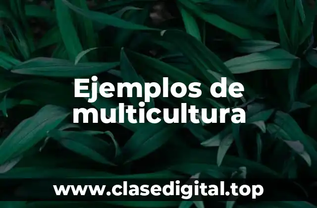 Ejemplos de multicultura