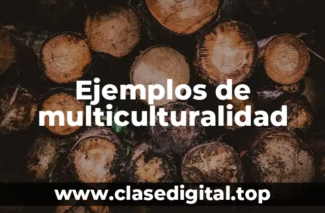 Ejemplos de multiculturalidad