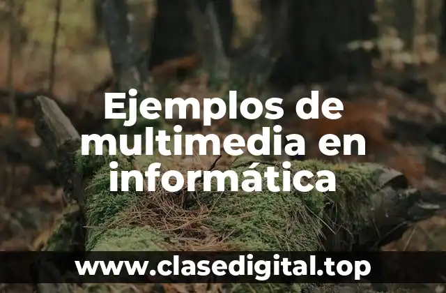 Ejemplos de multimedia en informática