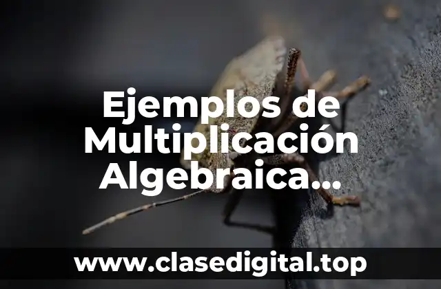 Ejemplos de Multiplicación Algebraica