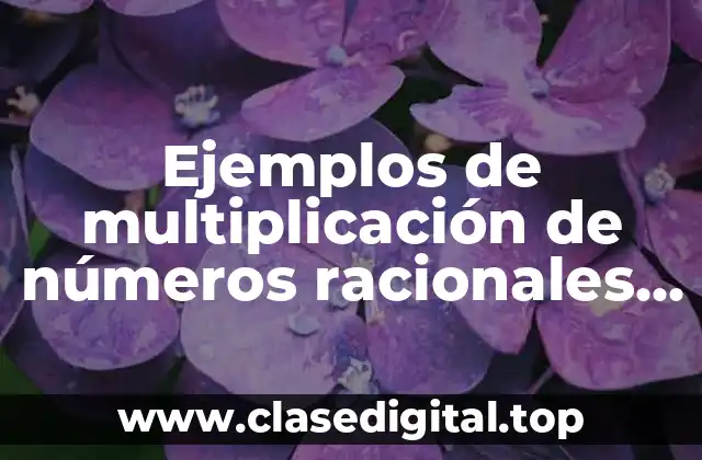 Ejemplos de multiplicación de números racionales y Significado