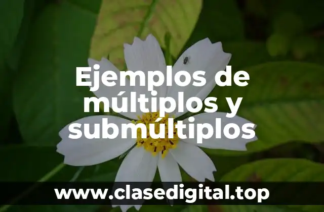 Ejemplos de múltiplos y submúltiplos