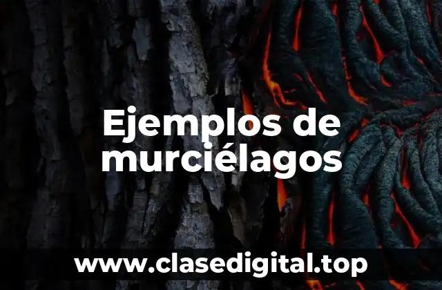 Ejemplos de murciélagos