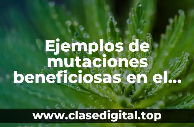 Ejemplos de mutaciones beneficiosas en el ser humano