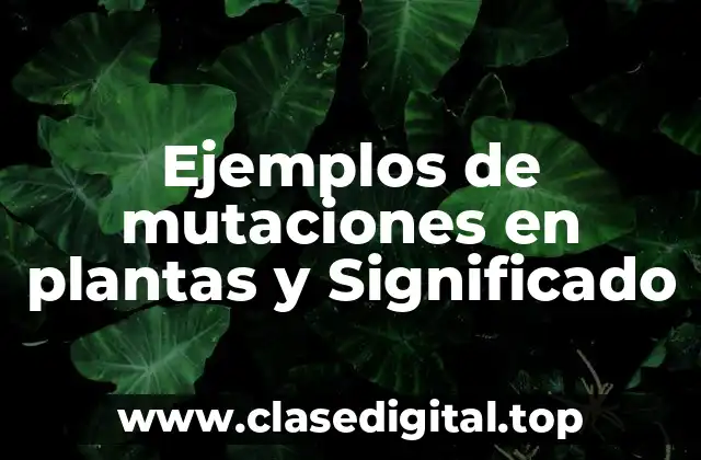 Ejemplos de mutaciones en plantas y Significado