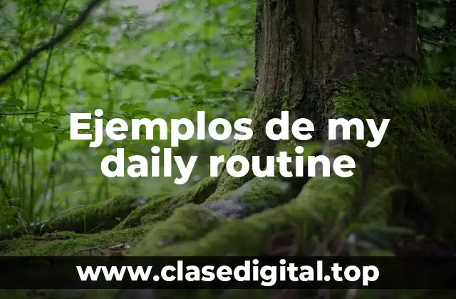 Ejemplos de my daily routine