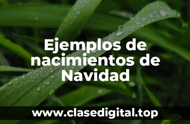 Ejemplos de nacimientos de Navidad