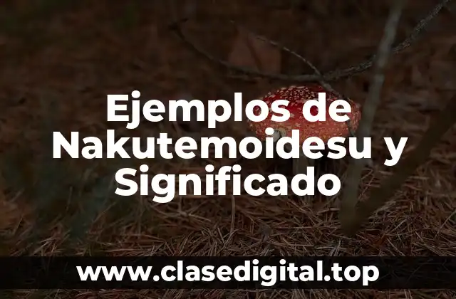 Ejemplos de Nakutemoidesu y Significado