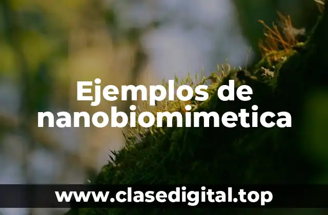 Ejemplos de nanobiomimetica
