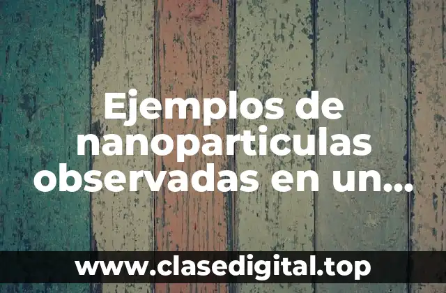 Ejemplos de nanoparticulas observadas en un microscopio electronico de barrido y Significado