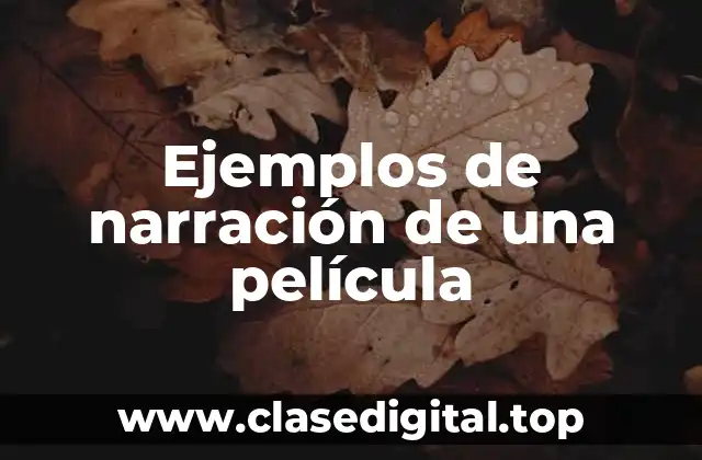 Ejemplos de narración de una película