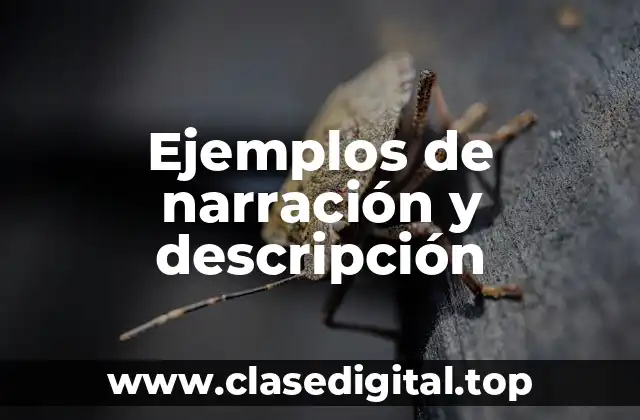 Ejemplos de narración y descripción