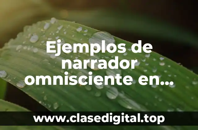Ejemplos de narrador omnisciente en cuentos