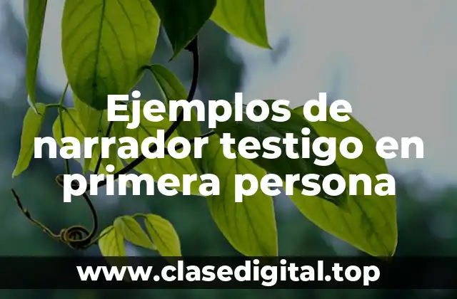 Ejemplos de narrador testigo en primera persona