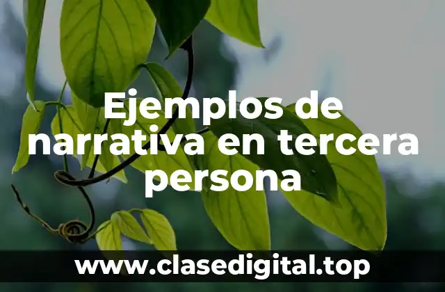 Ejemplos de narrativa en tercera persona