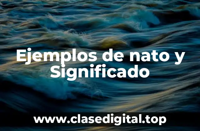 Ejemplos de nato y Significado