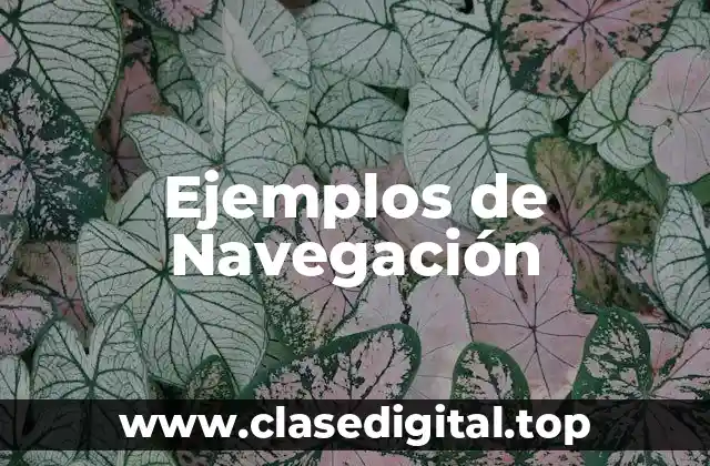 Ejemplos de Navegación