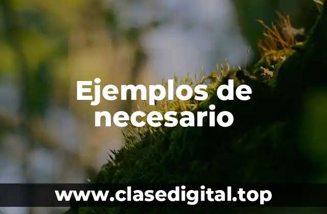 Ejemplos de necesario