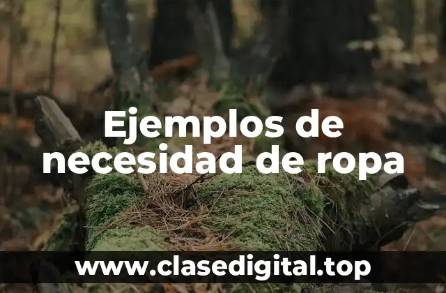Ejemplos de necesidad de ropa