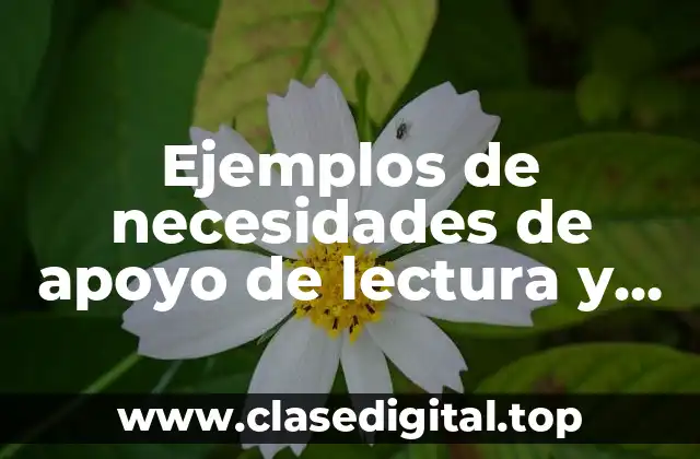 Ejemplos de necesidades de apoyo de lectura y escritura