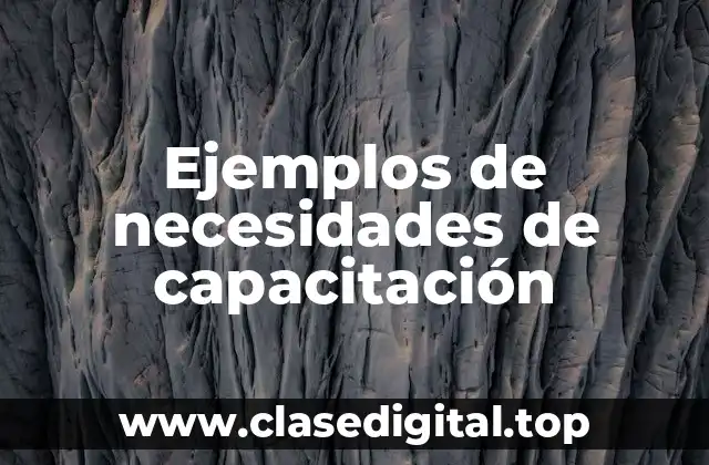 Ejemplos de necesidades de capacitación