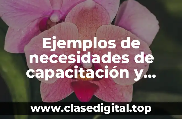 Ejemplos de necesidades de capacitación y desarrollo para un gerente