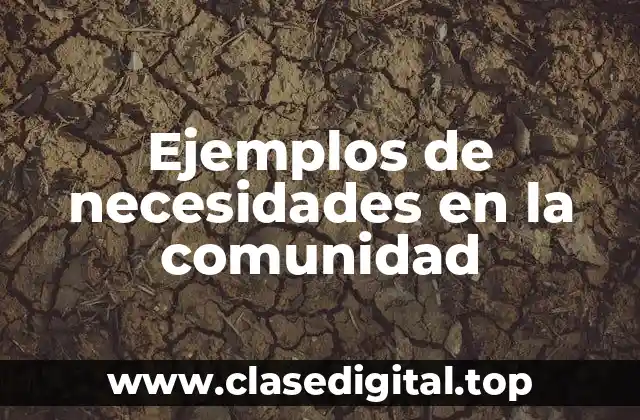 Ejemplos de necesidades en la comunidad