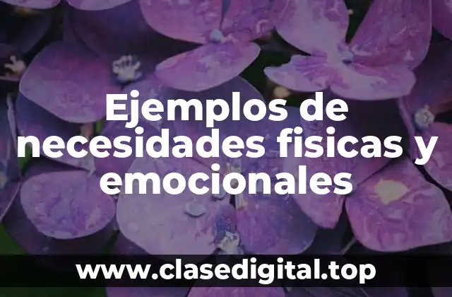 Ejemplos de necesidades fisicas y emocionales