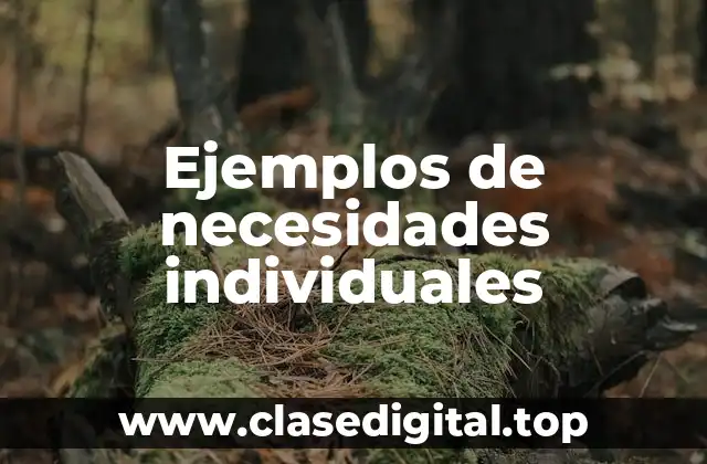 Ejemplos de necesidades individuales