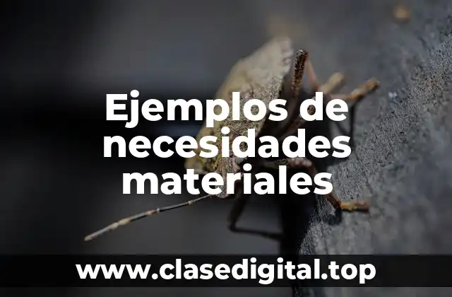 Ejemplos de necesidades materiales